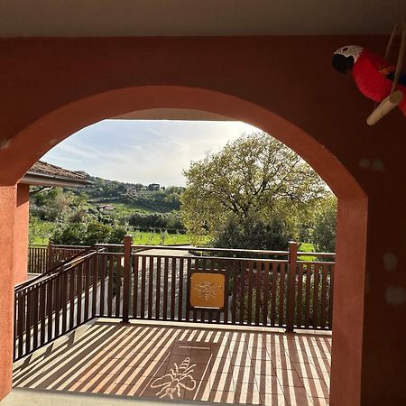 B&B Bee Frascati Extérieur photo