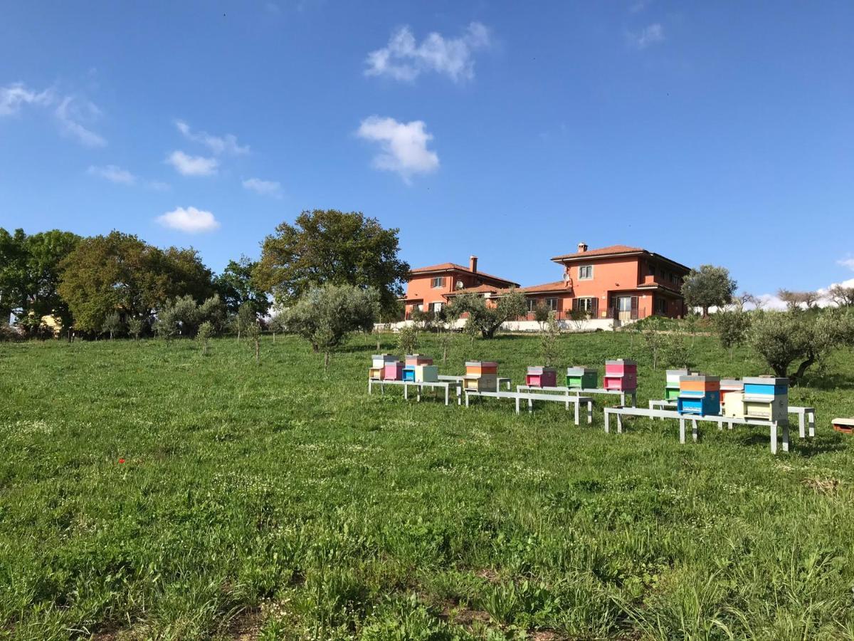 B&B Bee Frascati Extérieur photo
