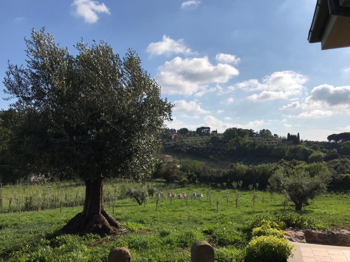 B&B Bee Frascati Extérieur photo