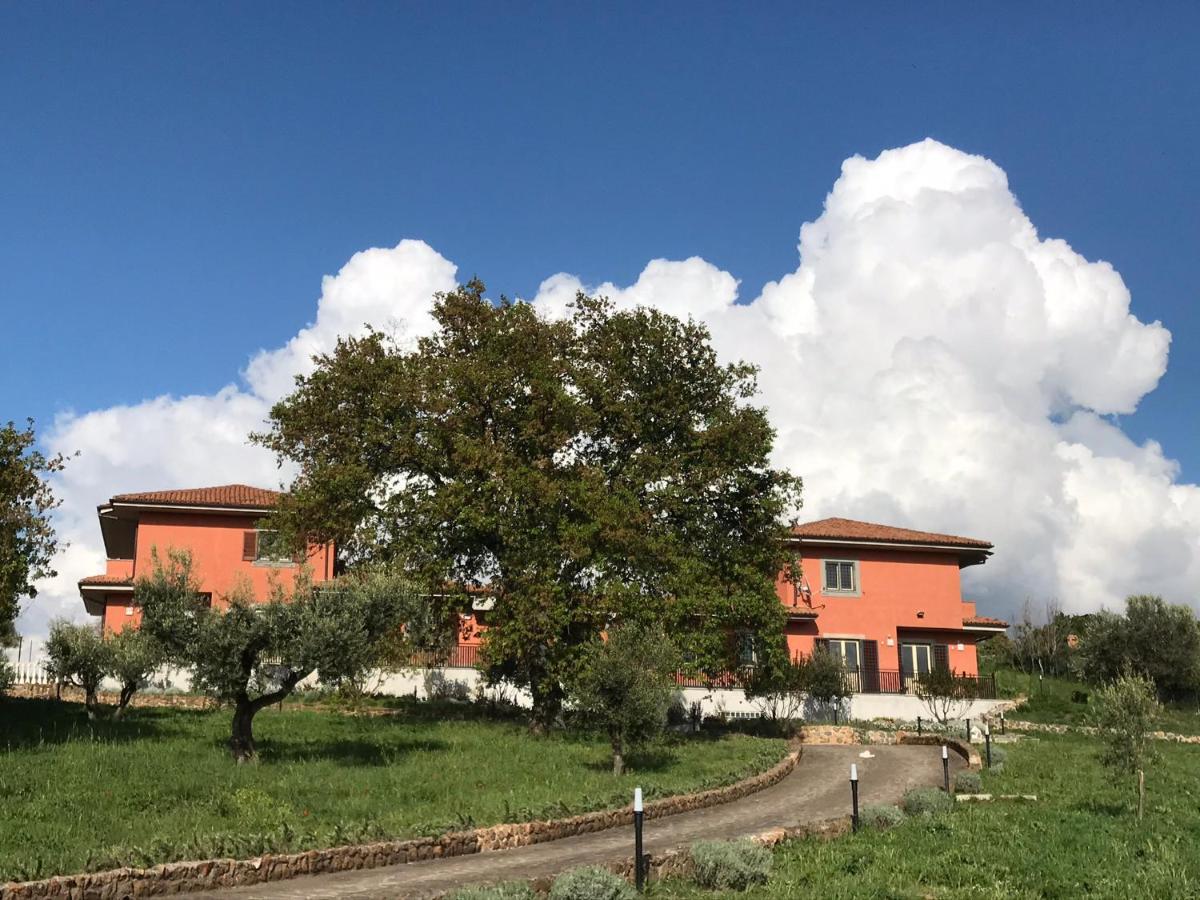 B&B Bee Frascati Extérieur photo