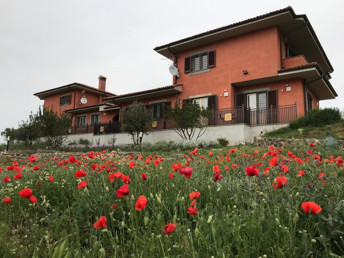 B&B Bee Frascati Extérieur photo
