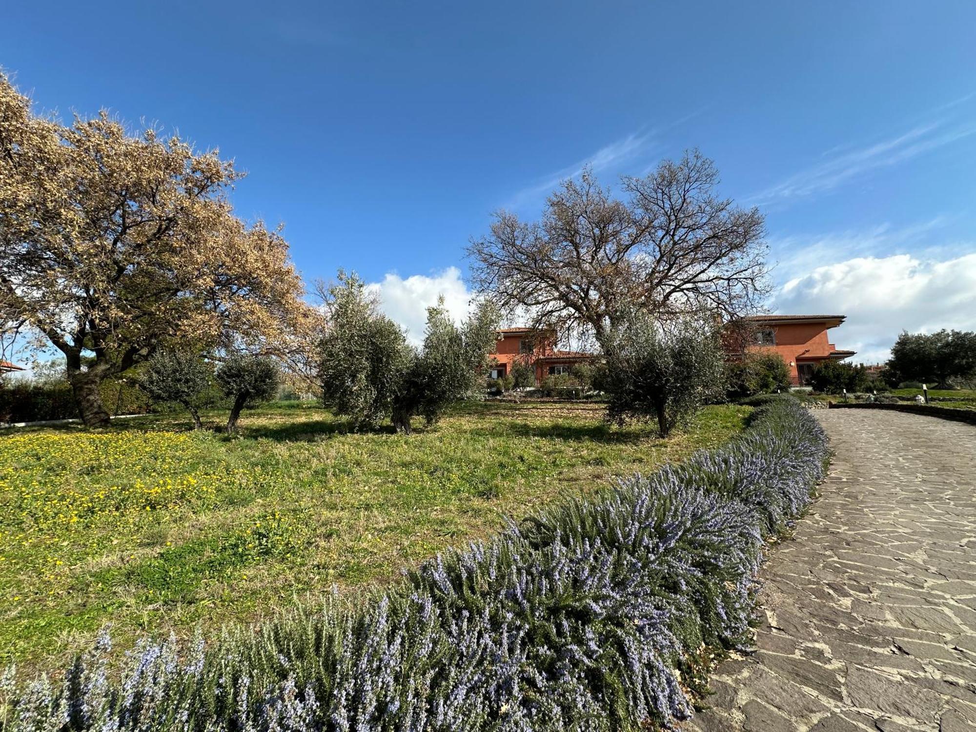 B&B Bee Frascati Extérieur photo