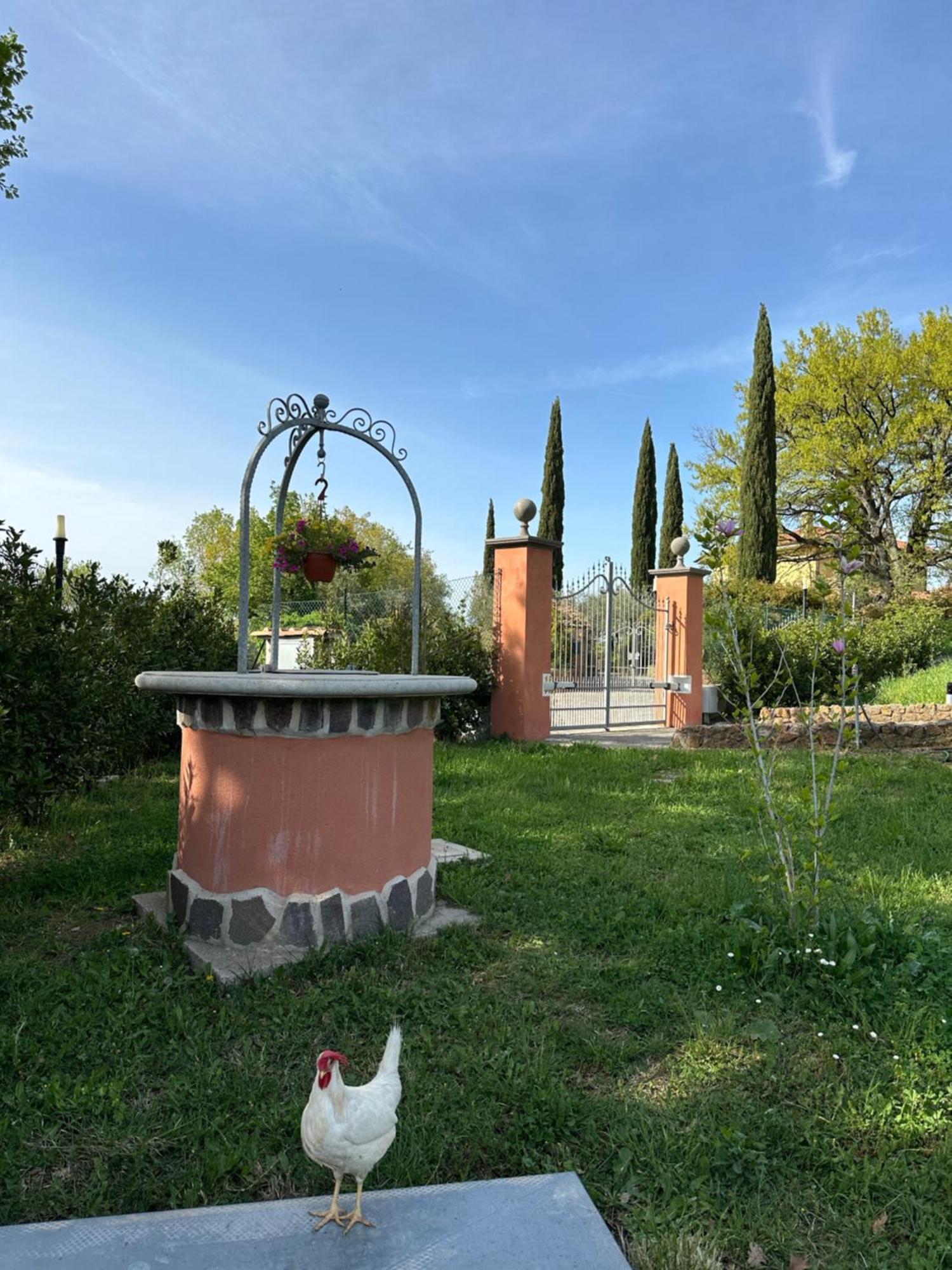 B&B Bee Frascati Extérieur photo