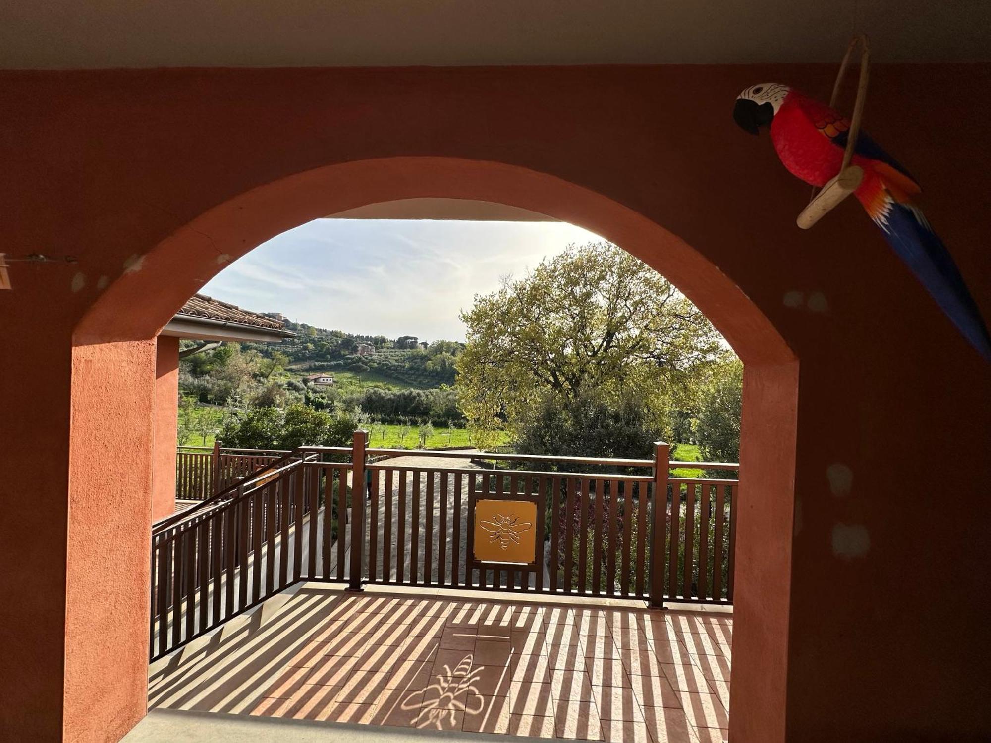 B&B Bee Frascati Extérieur photo