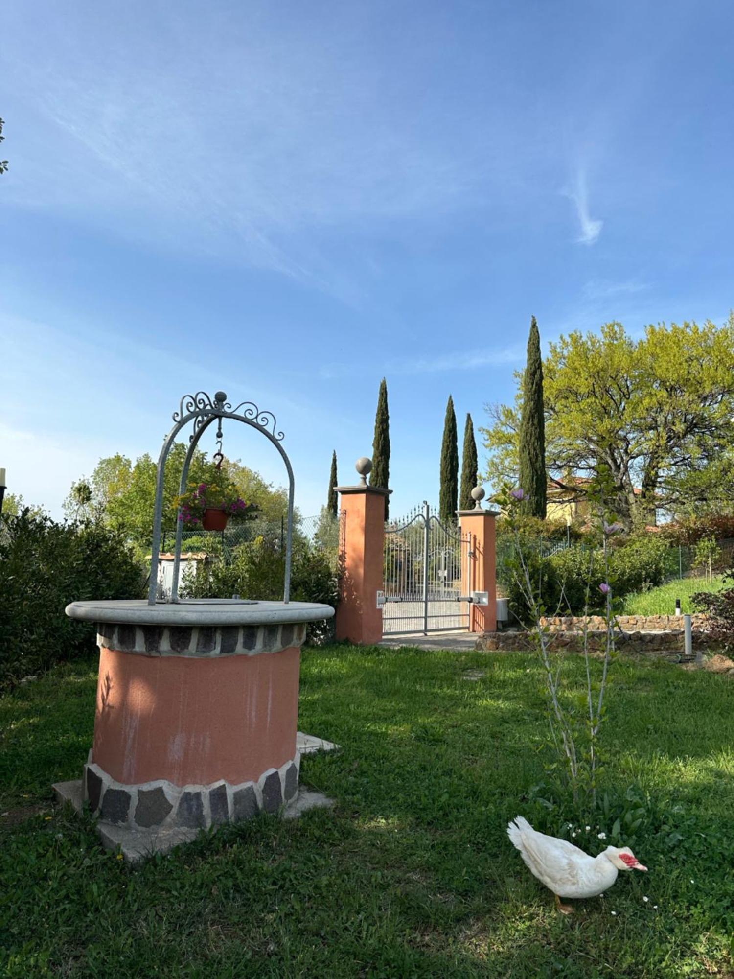 B&B Bee Frascati Extérieur photo