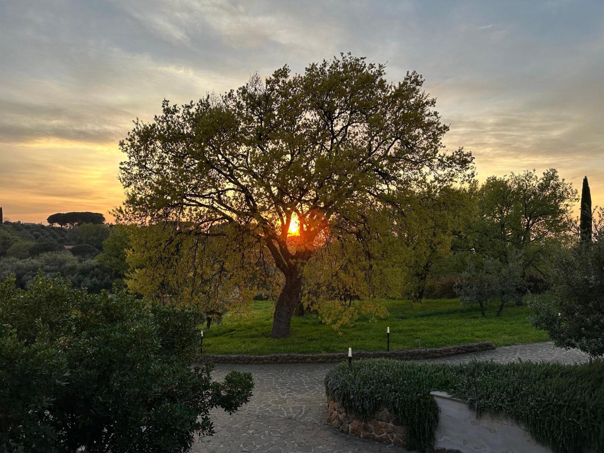 B&B Bee Frascati Extérieur photo
