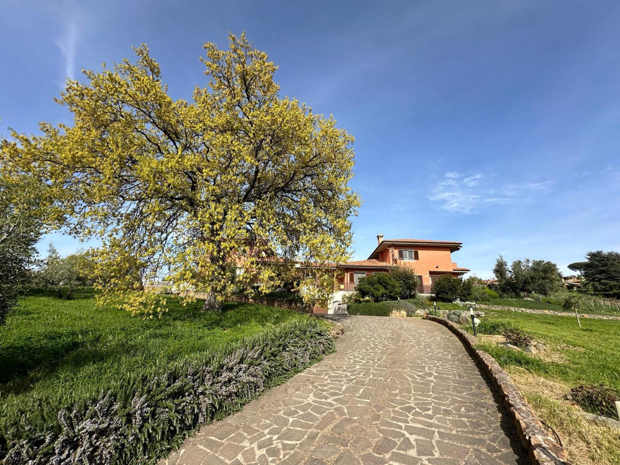 B&B Bee Frascati Extérieur photo